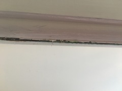 Can/how do I fix painted doors?