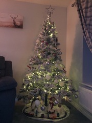If you already have your tree up can I see it please?