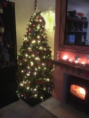 If you already have your tree up can I see it please?