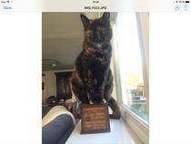 To ask you to post pictures of your pets?
