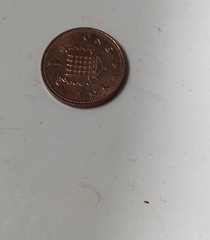 What is this tiny bug in bedroom?