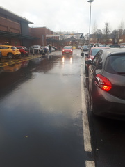 To have crossed at a zebra crossing?