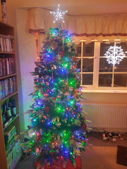 Lets see your trees 2018!
