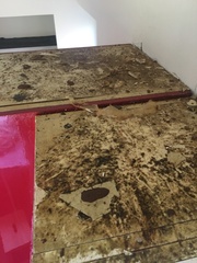 AIBU to never clean the top of my cupboards?