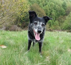 Please help, what are the vets & hospital not seeing?