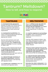 when did tantrums become 'meltdowns' ?