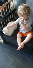 My cat passed away last night. . .