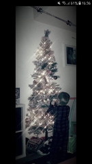 I have tree envy :-(