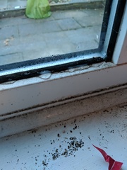 gutting my sons bedroom in 30 minutes...