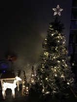 If you already have your tree up can I see it please?