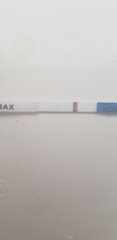 2 week wait