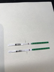 Faint BFP or am I seeing things?