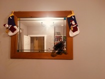 If you already have your tree up can I see it please?