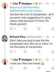 Lily Madigan and the School Saga