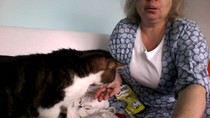 PB on the bed, dreamies and chat