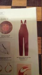 Les Parisiennes de Mamansnet: Orangutans in Paris make for poor gondoliers