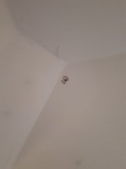 Any Plasterers About?