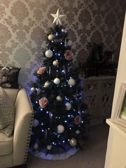 Lets see your trees 2018!