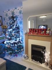 If you already have your tree up can I see it please?