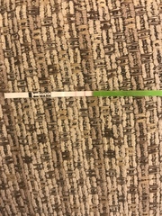 Positive ovulation test?