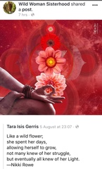 Any Witches Here Part 5.