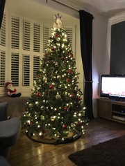 If you already have your tree up can I see it please?
