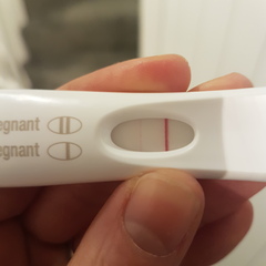 August 2019