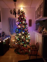 Lets see your trees 2018!