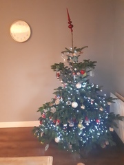 If you already have your tree up can I see it please?