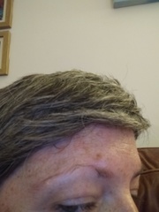 Eyebrow help, with pic