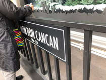 Les Parisiennes de Mamansnet: Orangutans in Paris make for poor gondoliers