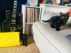 Can we have Show Us Your Sitting Room thread please?