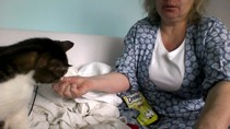 PB on the bed, dreamies and chat