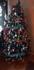 If you already have your tree up can I see it please?