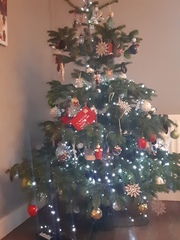 If you already have your tree up can I see it please?