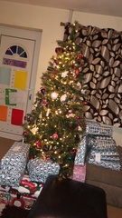 Lets see your trees 2018!
