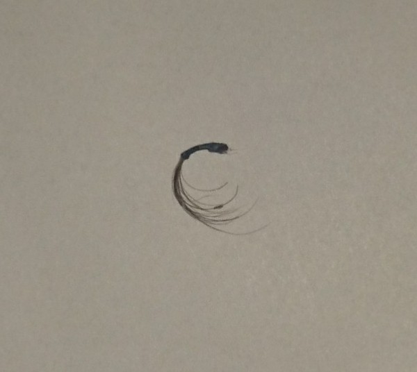 Look what DP just pulled out of his belly button!