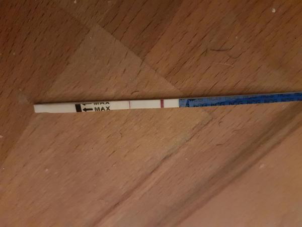 Need some TTC buddies