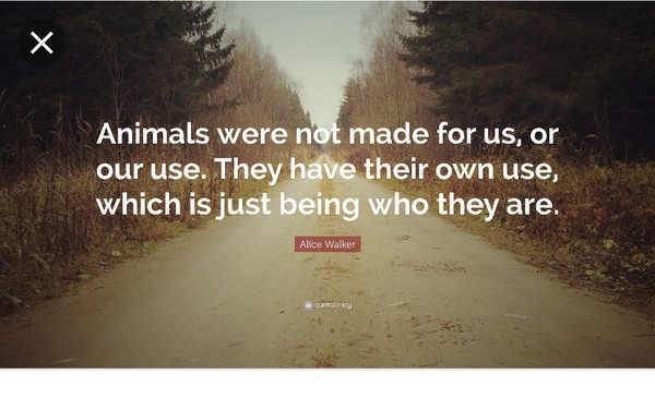To ask what you think about these vegan protests