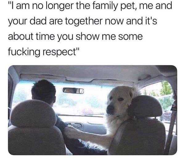 I'm in the back of the car being punished
