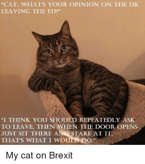 Westminsterenders: Don't Panic. Really Don't Panic. Honestly Don't Panic.