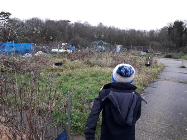 So how much work is an allotment?