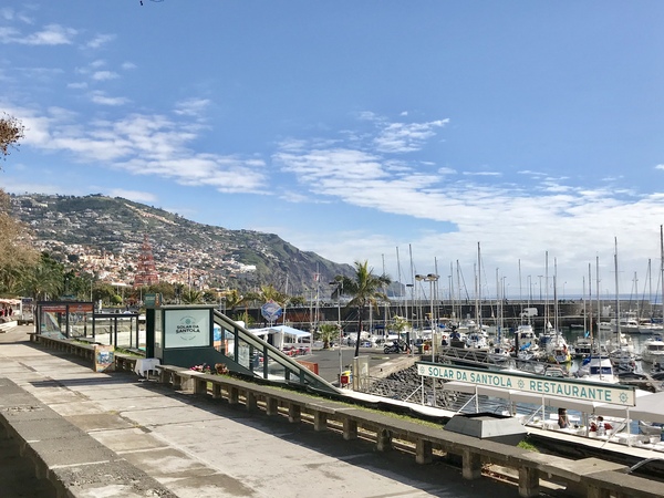 Which island? Madeira, Malta or one of the Canaries