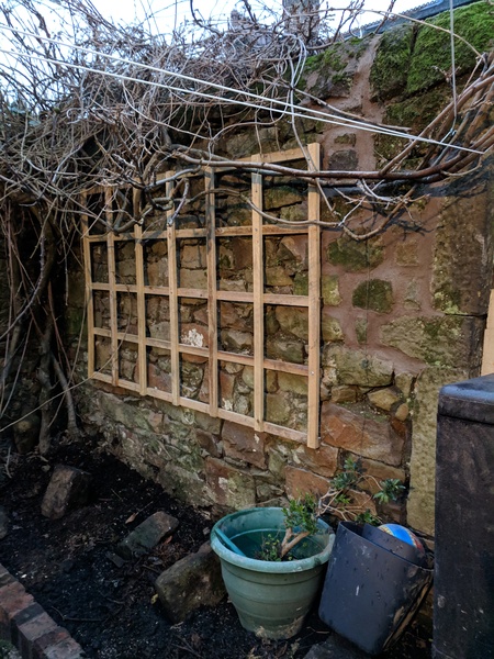 Help me plan my new garden
