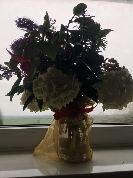 Any Witches Here Part 5.