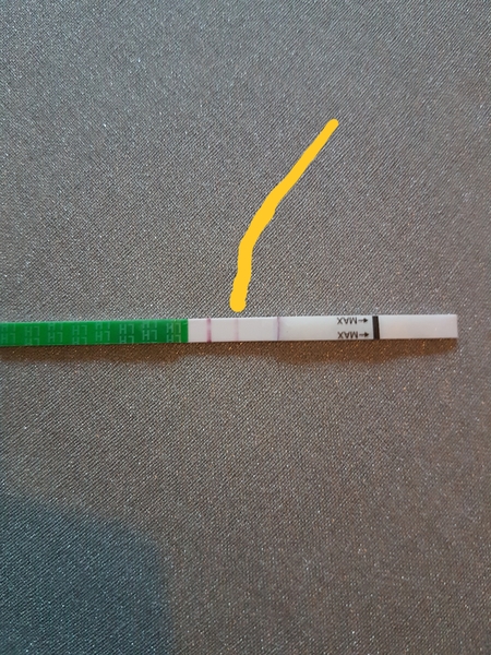 Ovulation  strip