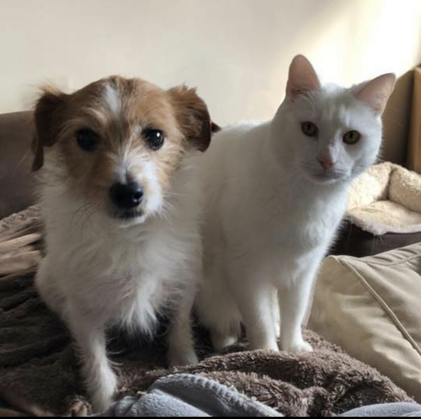 Can we have a pet photo thread? All welcome, furry, scaly, winged and more!