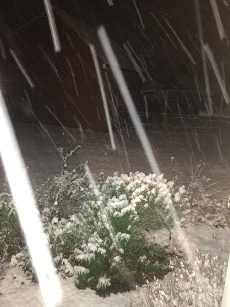 Snow watch winter 2018/19 part 2