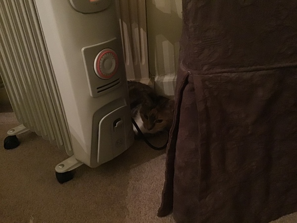 Westminsterenders: Don't Panic. Really Don't Panic. Honestly Don't Panic.