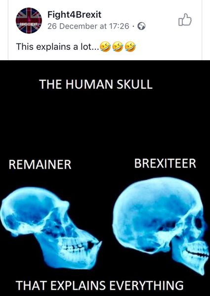 If there was another Brexit referendum would you vote the same way?